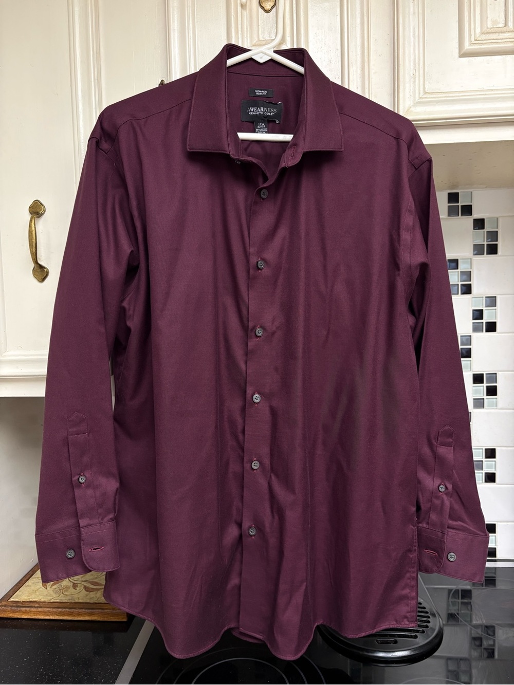 Kenneth Cole Men's Long-Sleeve Dress Shirt — Plum